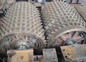 双齿辊正能量不良网站-厂家直供价格低-齿辊式正能量不良网站结构原理图